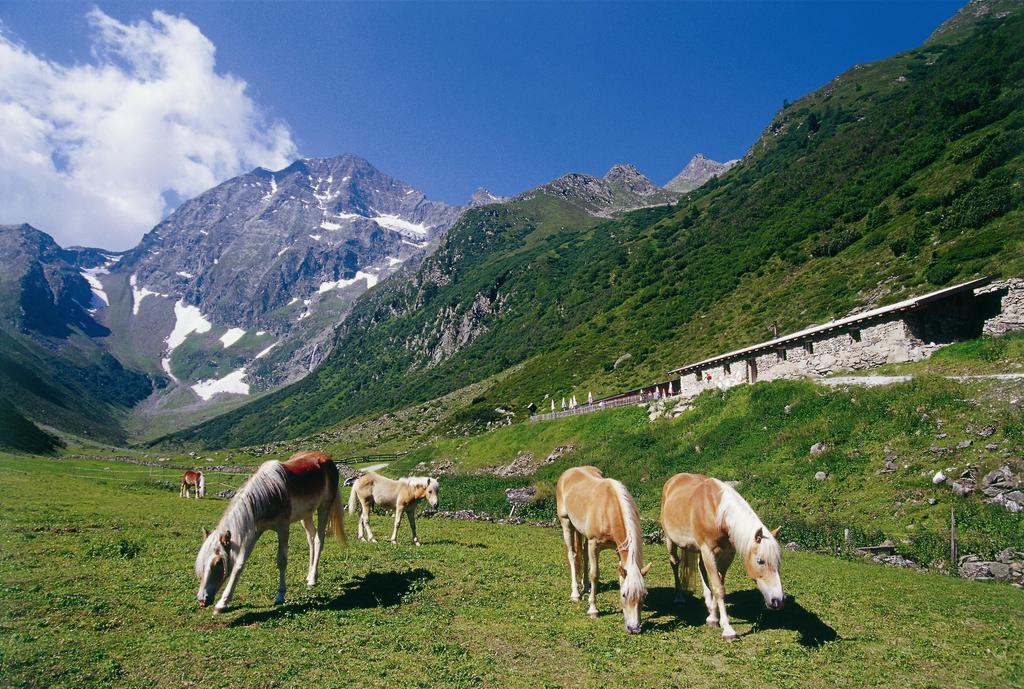 Apartment Hildegard Neustift im Stubaital Kültér fotó