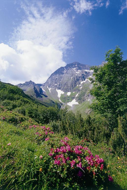 Apartment Hildegard Neustift im Stubaital Szoba fotó